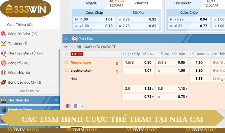 Các loại hình cược thể thao tại nhà cái