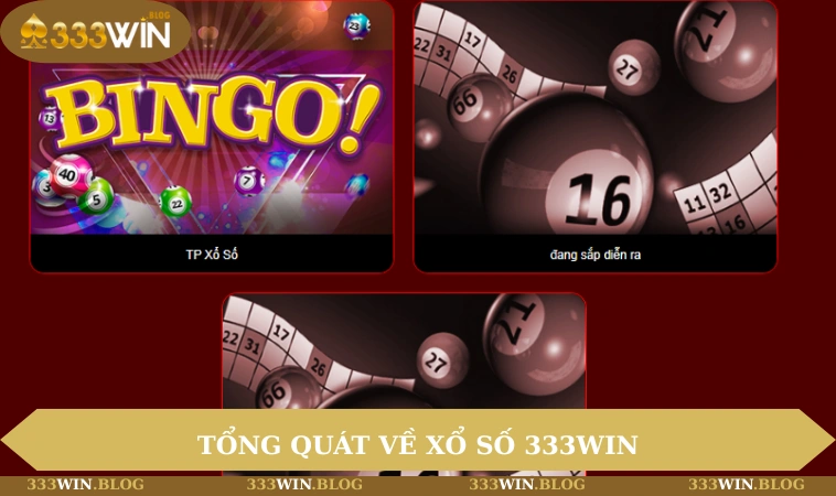 Tổng quát về xổ số 333WIN